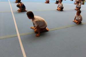 IMG 0592